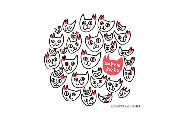 屋良さん：野良猫のTNR（さくらねこ）活動 - 東平中山自治会｜埼玉県